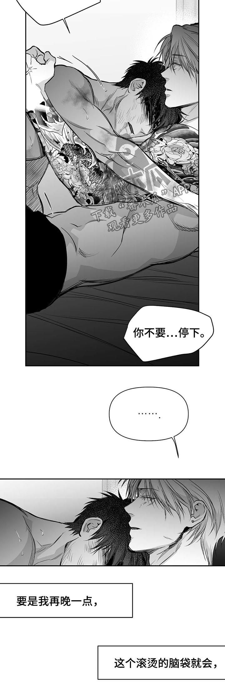 拳击手漫画,第121章：【第二季】到此为止吧2图