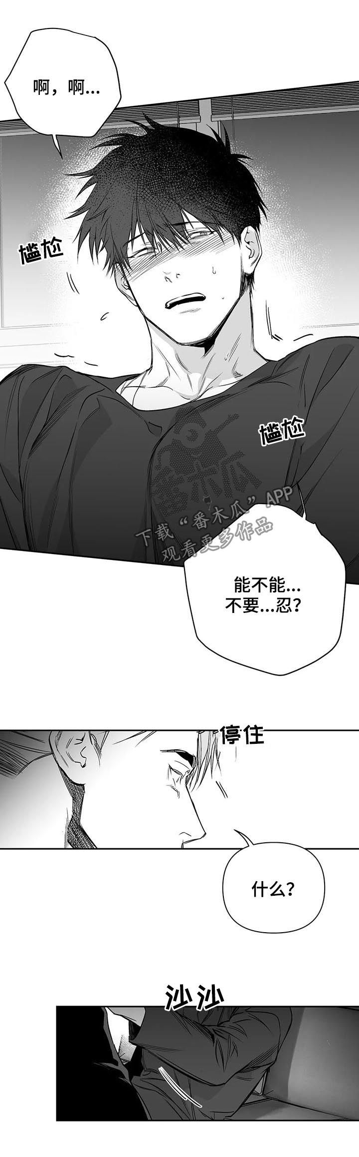 拳击手漫画,第90章：【第二季】不要太逞强1图