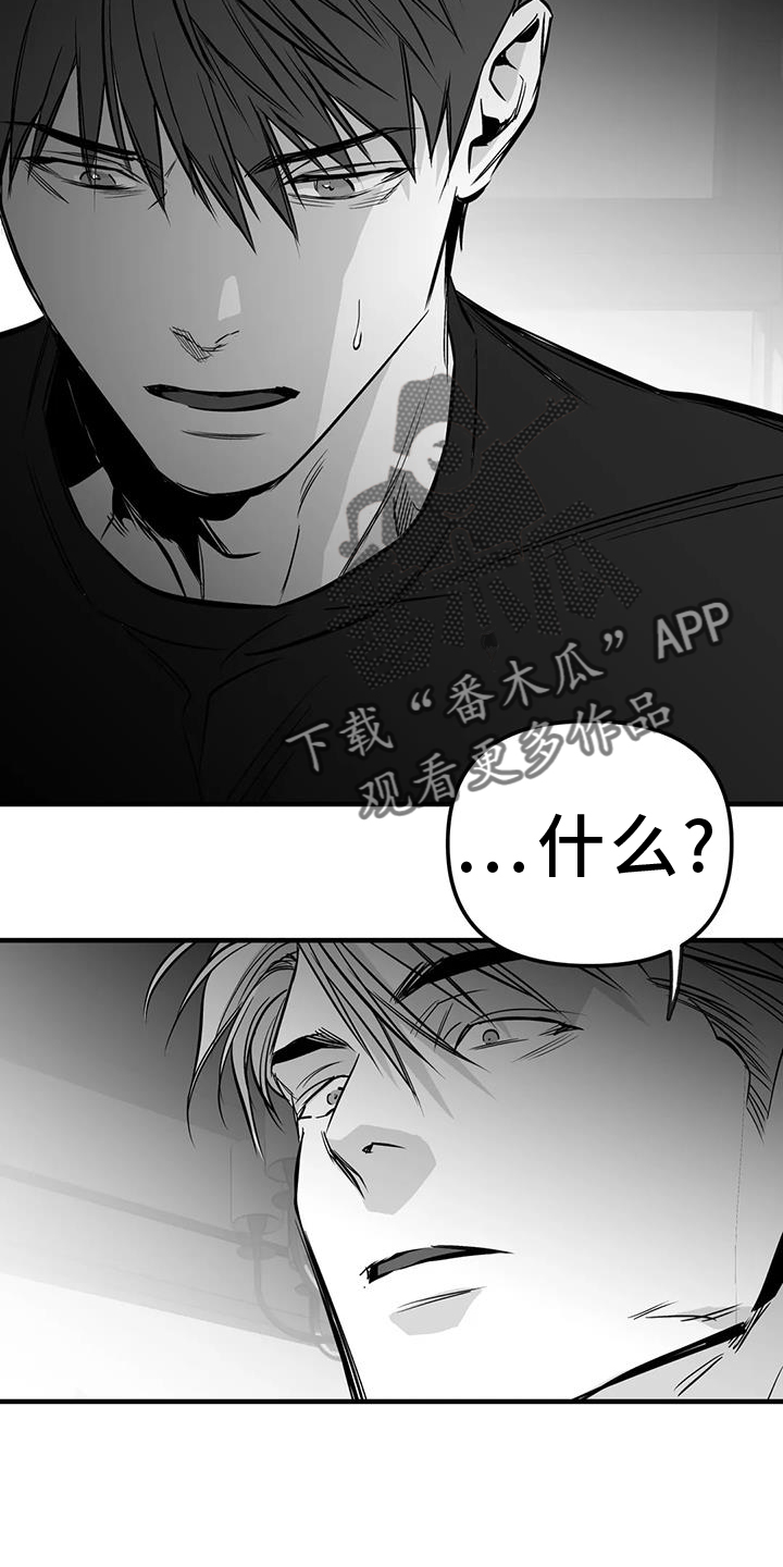 拳击手漫画,第235章：【第三季】别动2图