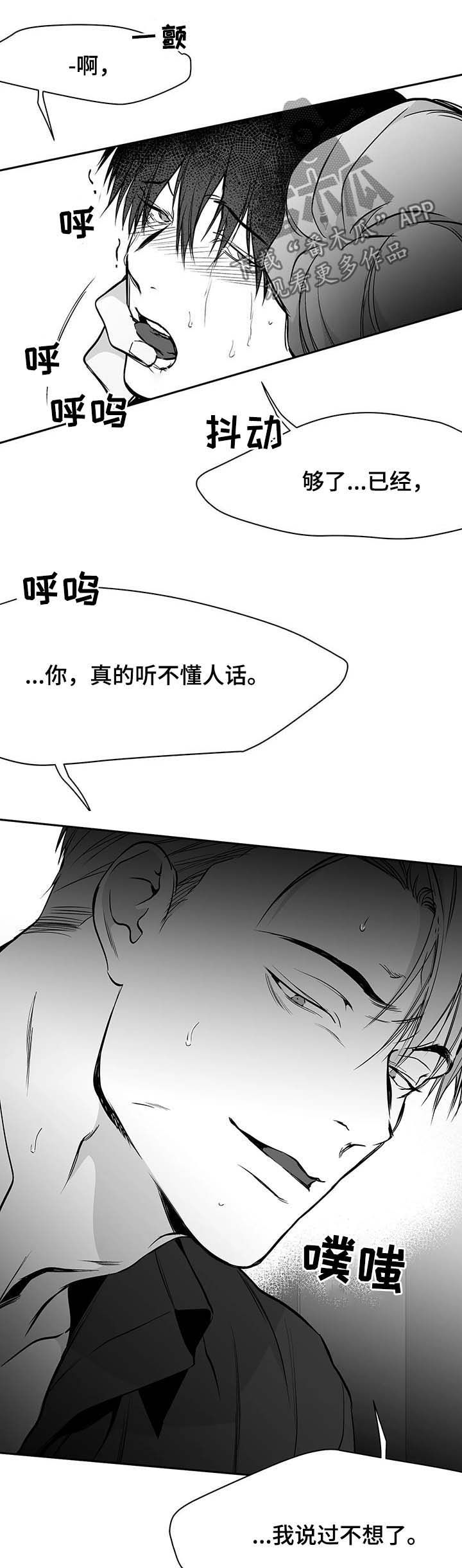 拳击手漫画,第71章：都说不要1图