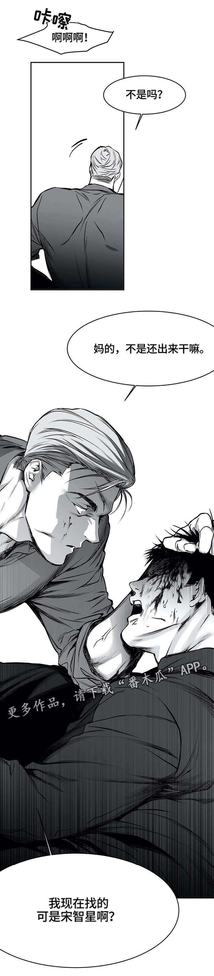 拳击手漫画,第31章：打砸1图