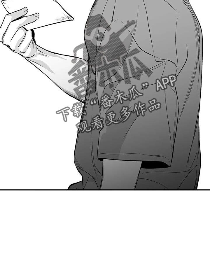拳击手漫画,第210章：【第三季】替你看2图
