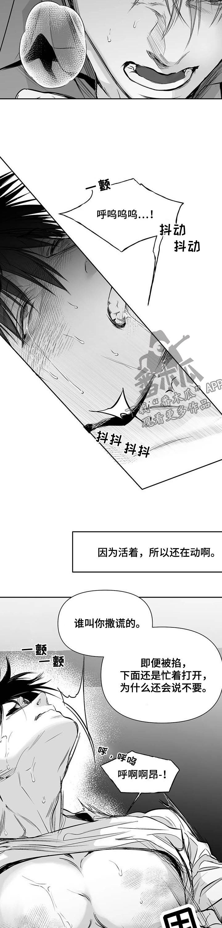拳击手漫画,第139章：【第二季】你是我的2图