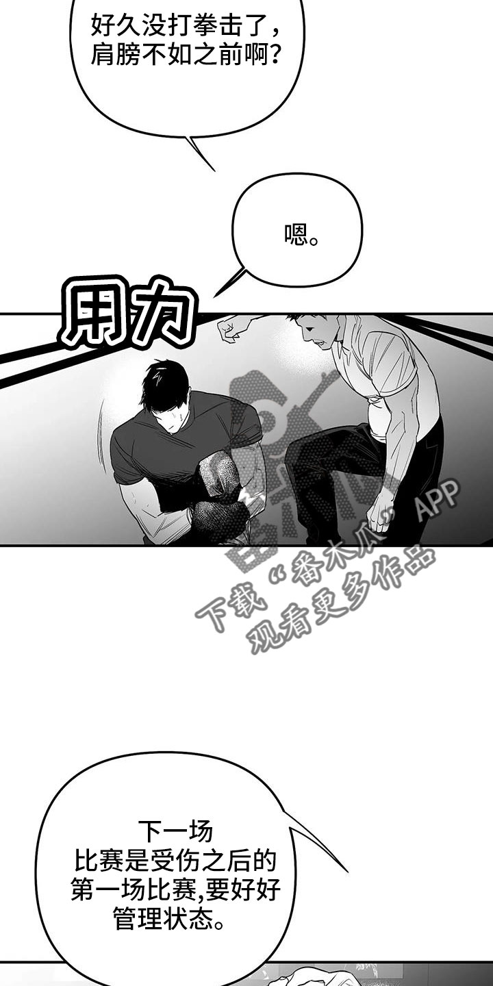 拳击手漫画,第214章：【第三季】那人很危险1图
