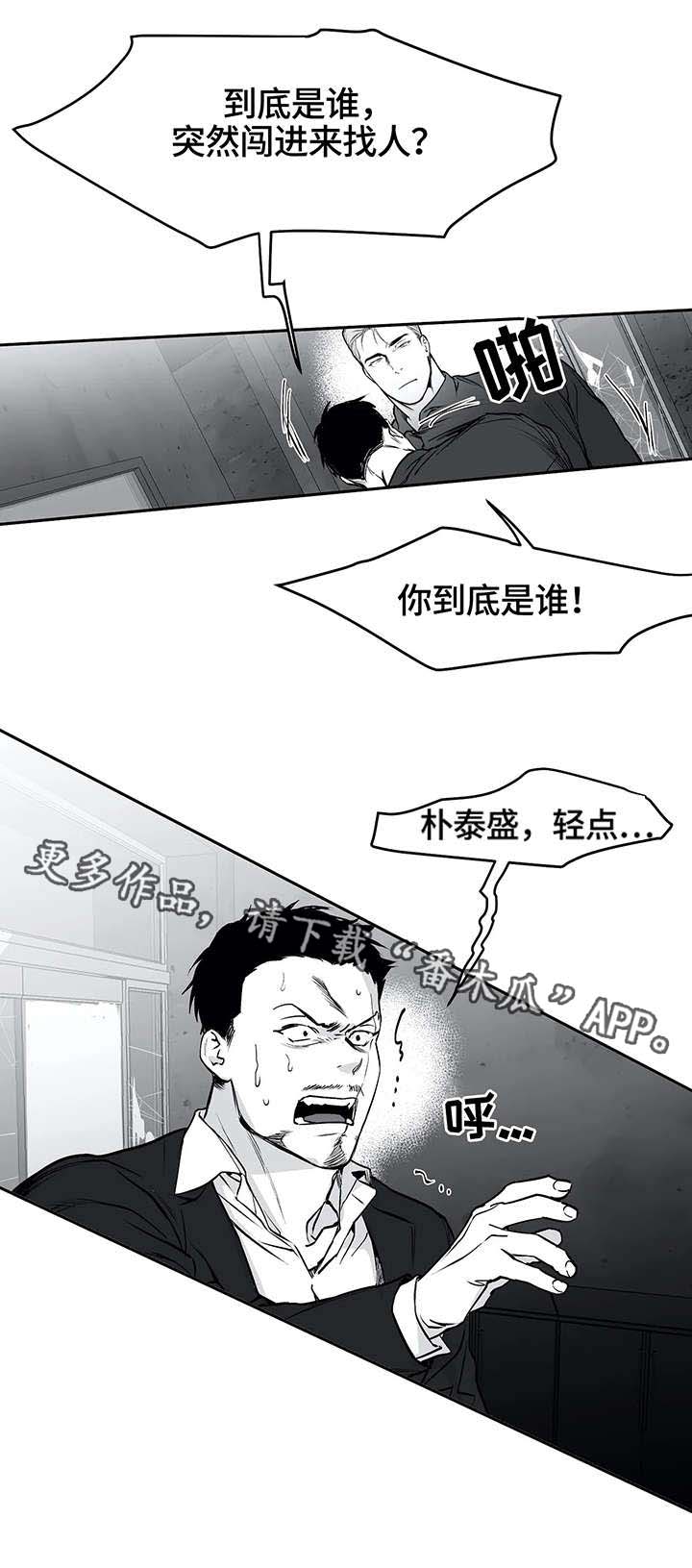 拳击手漫画,第31章：打砸2图