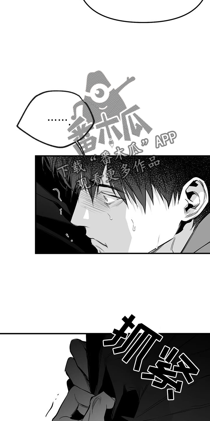 拳击手漫画,第231章：【第三季】恢复2图