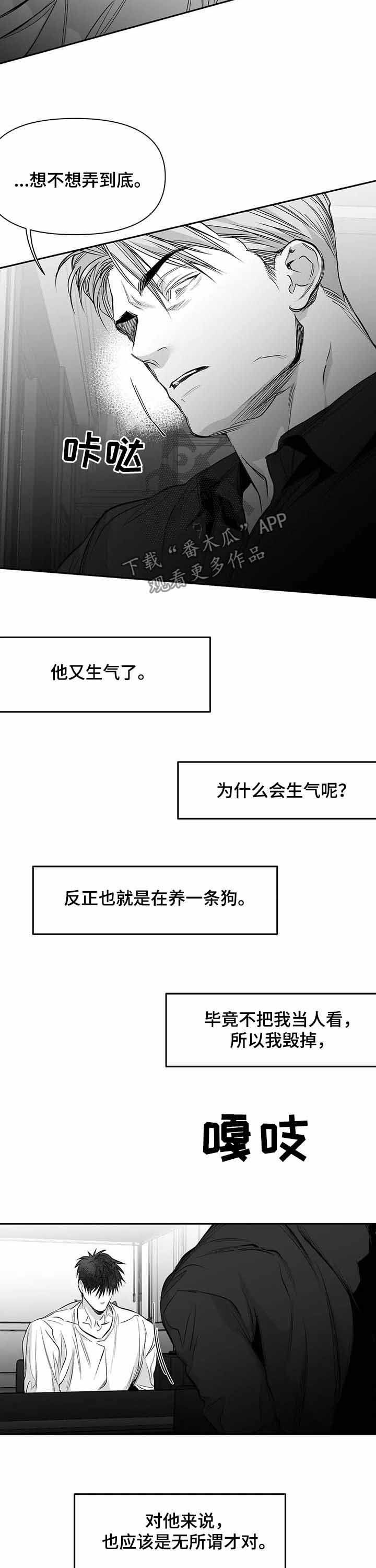 拳击手漫画,第143章：【第二季】表情1图