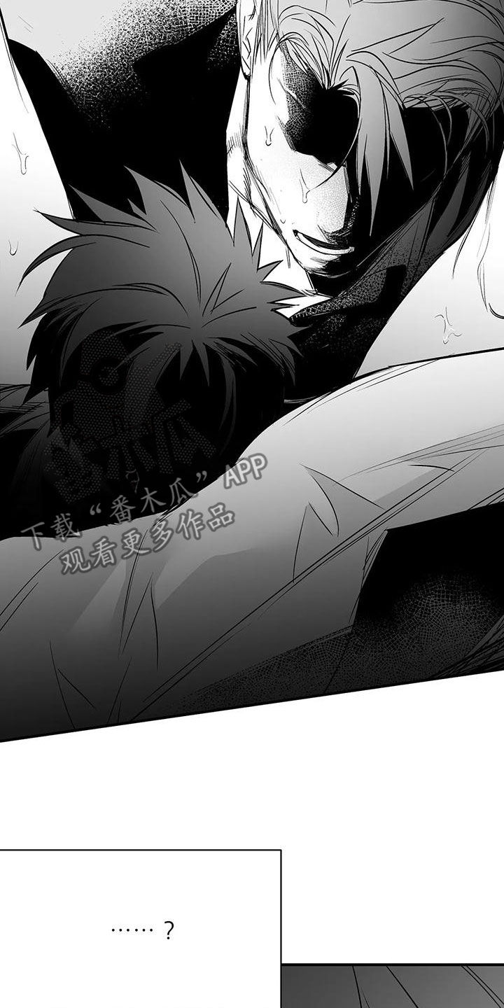 拳击手漫画,第190章：【第三季】开心2图