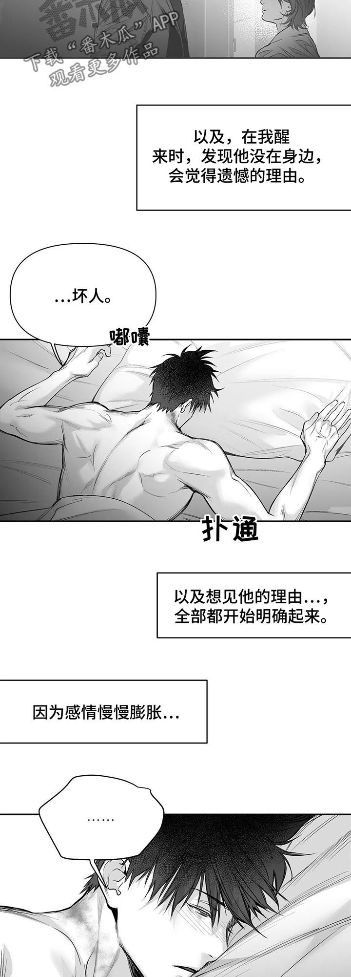 拳击手漫画,第105章：【第二季】长什么样1图
