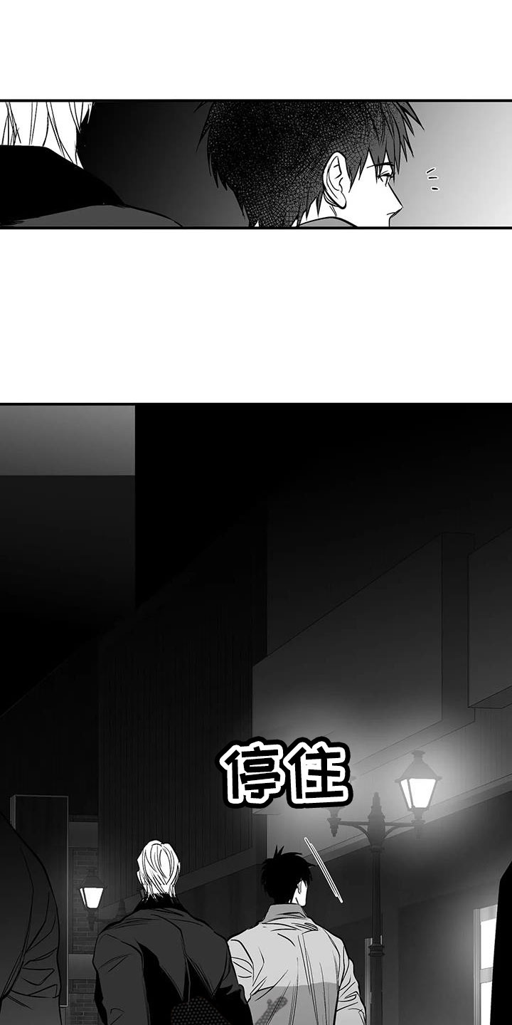拳击手漫画,第215章：【第三季】不像自己1图