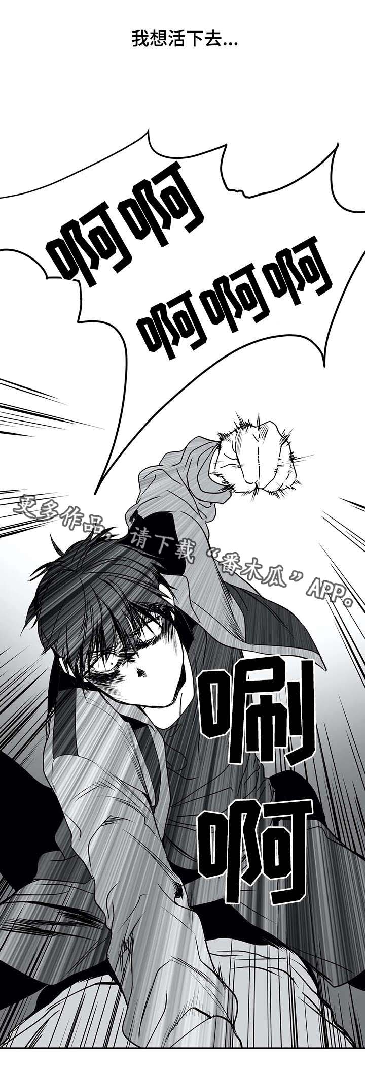 拳击手漫画,第7章：面熟1图