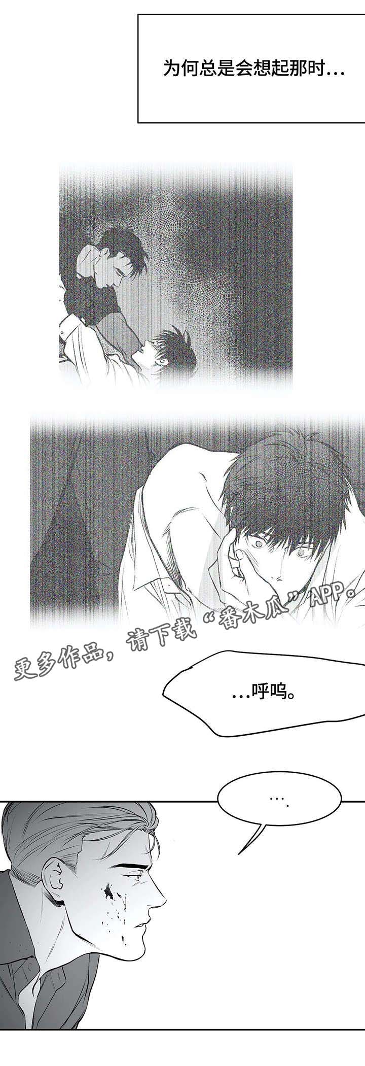 拳击手漫画,第34章：抹去2图
