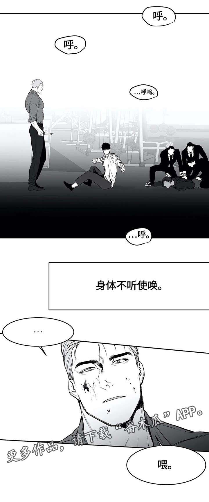 拳击手漫画,第34章：抹去2图