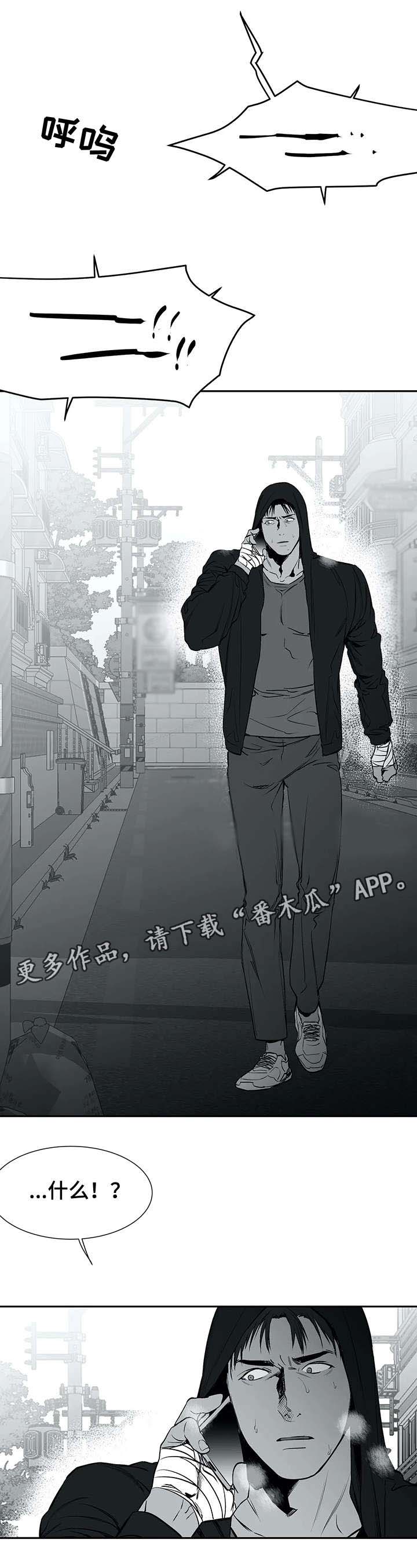 拳击手漫画,第29章：发泄2图