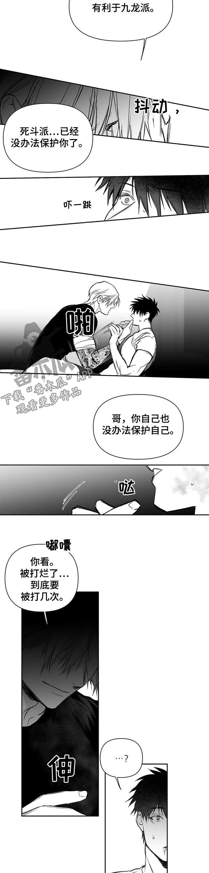 拳击手漫画,第126章：【第二季】我来保护你2图