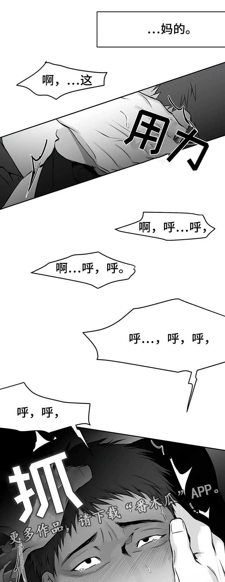 拳击手漫画,第38章：不一样2图