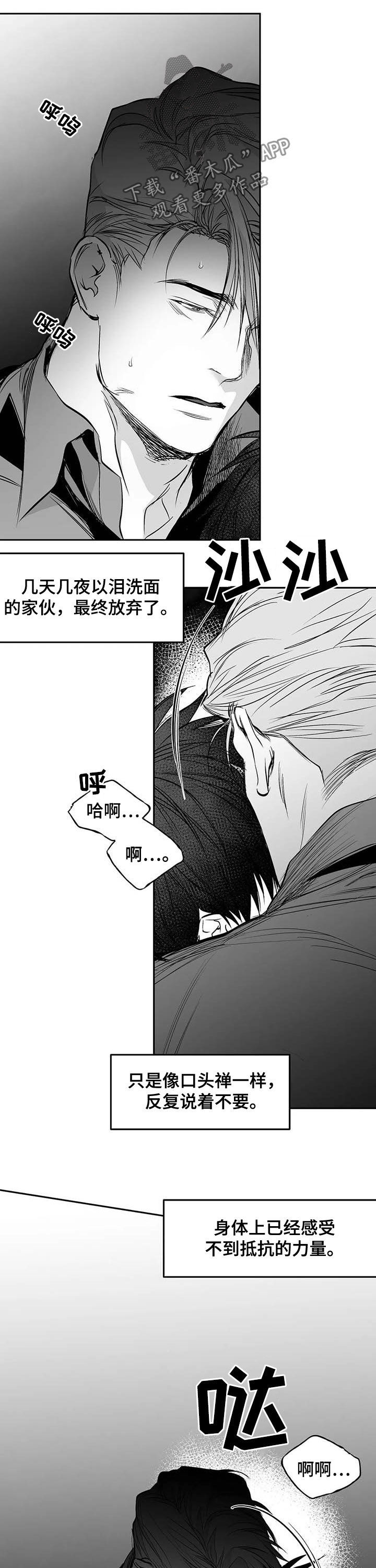 拳击手漫画,第139章：【第二季】你是我的1图