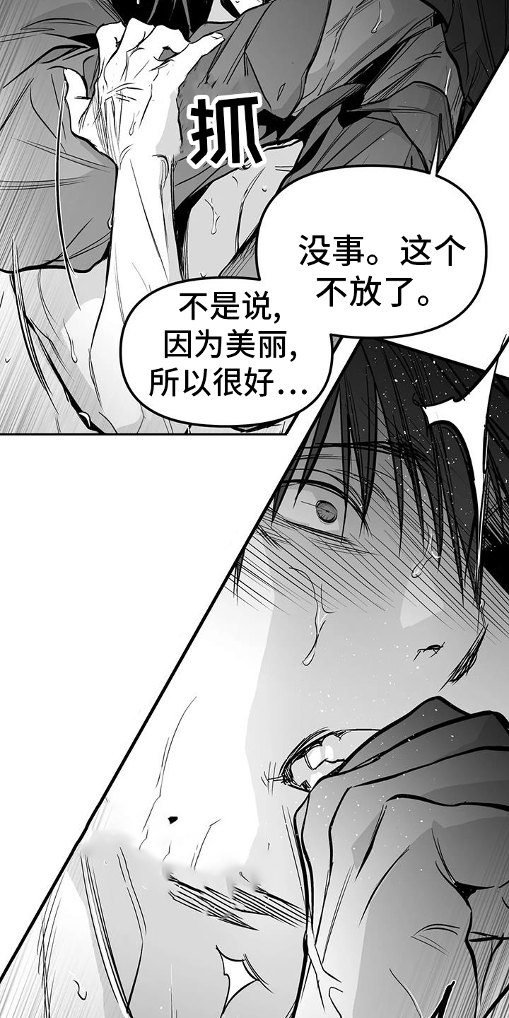 拳击手漫画,第236章：【第三季】反客为主1图