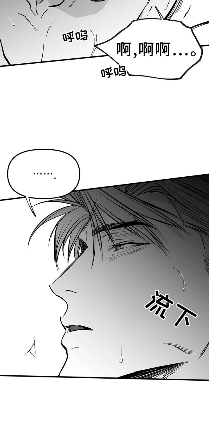 拳击手漫画,第235章：【第三季】别动1图
