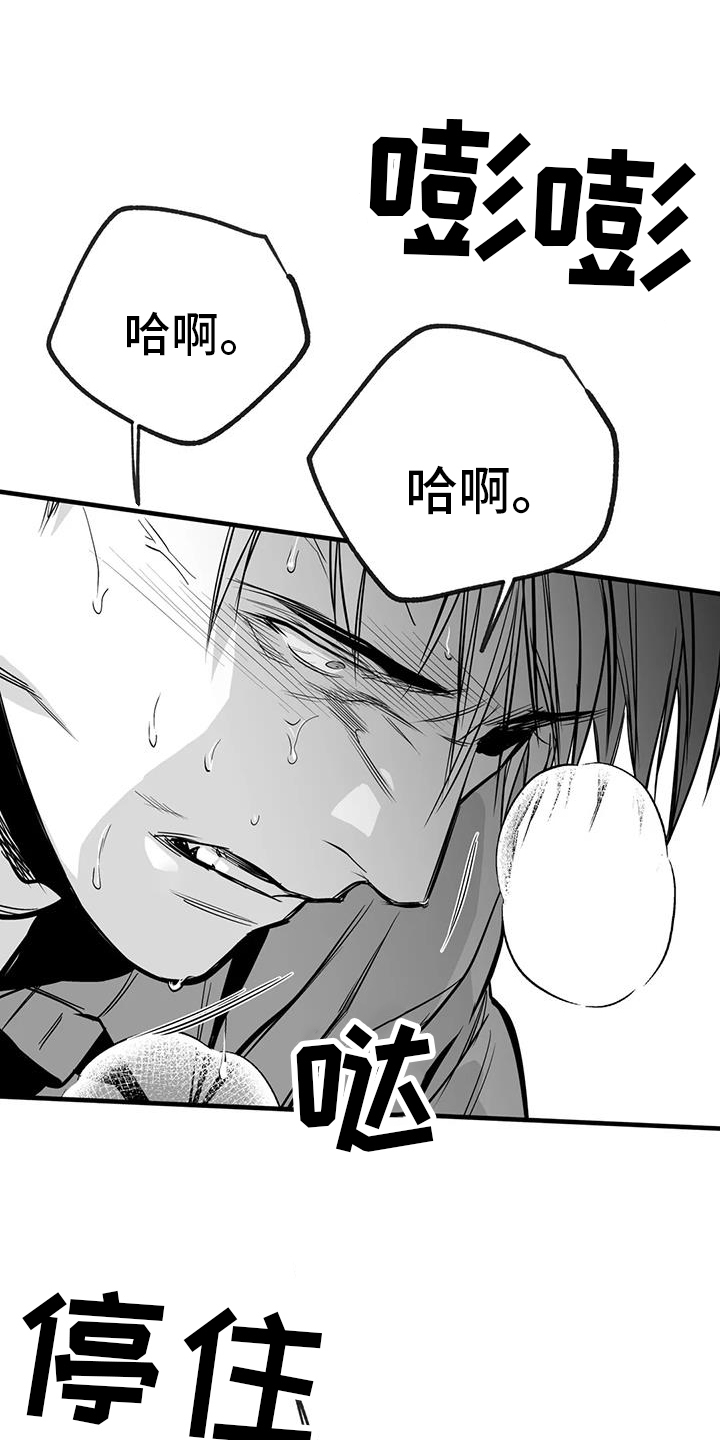 拳击手漫画,第237章：【第三季】闪耀1图
