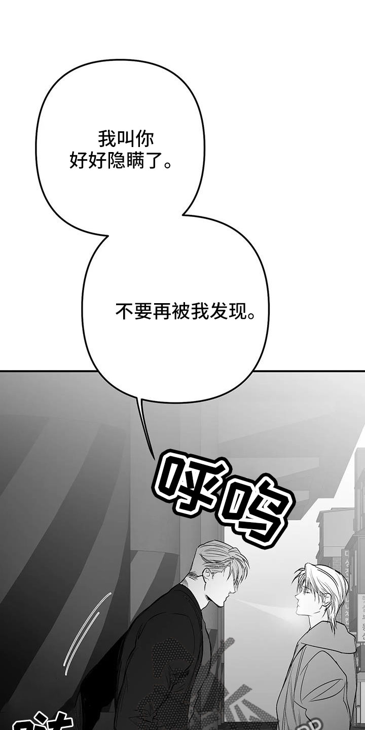 拳击手漫画,第213章：【第三季】果然迟1图