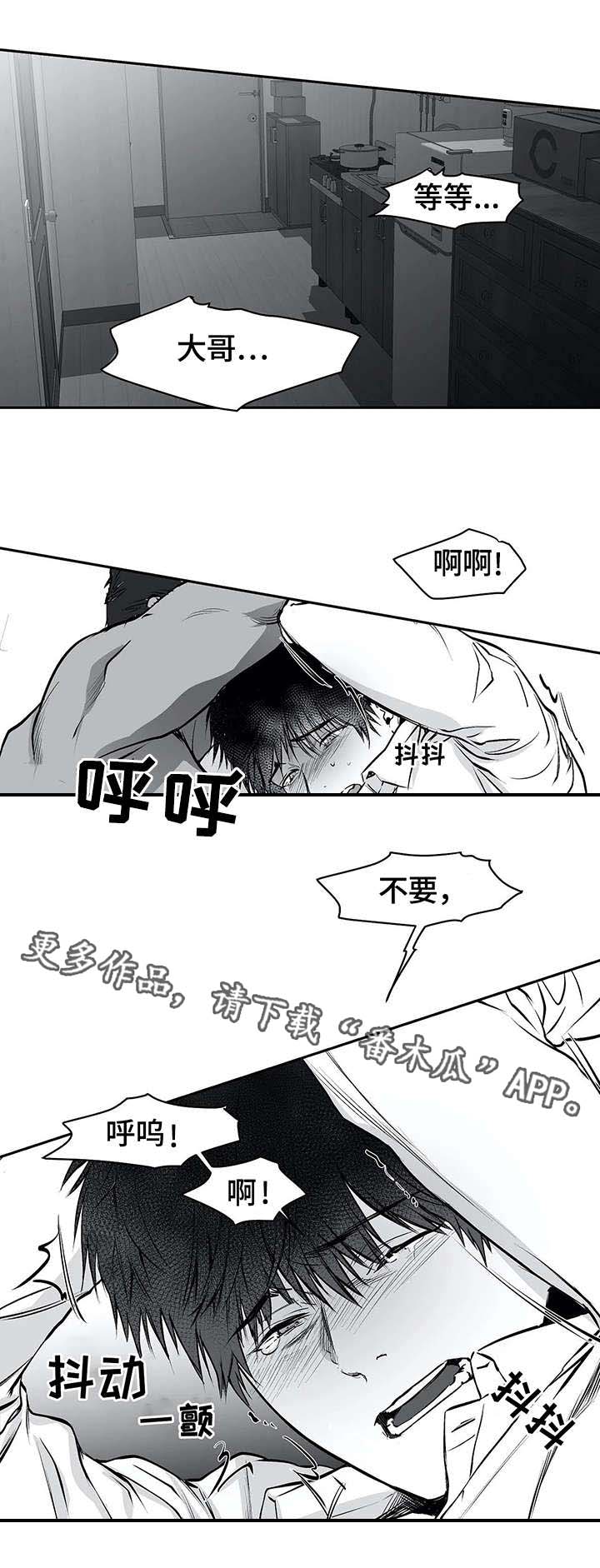 拳击手漫画,第21章：嫉妒1图