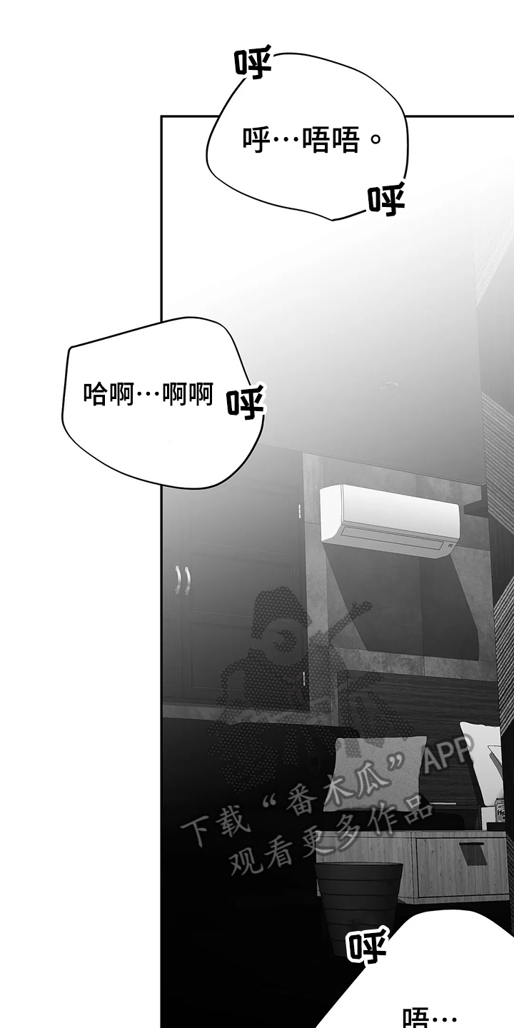 拳击手漫画,第188章：【第三季】很开心2图