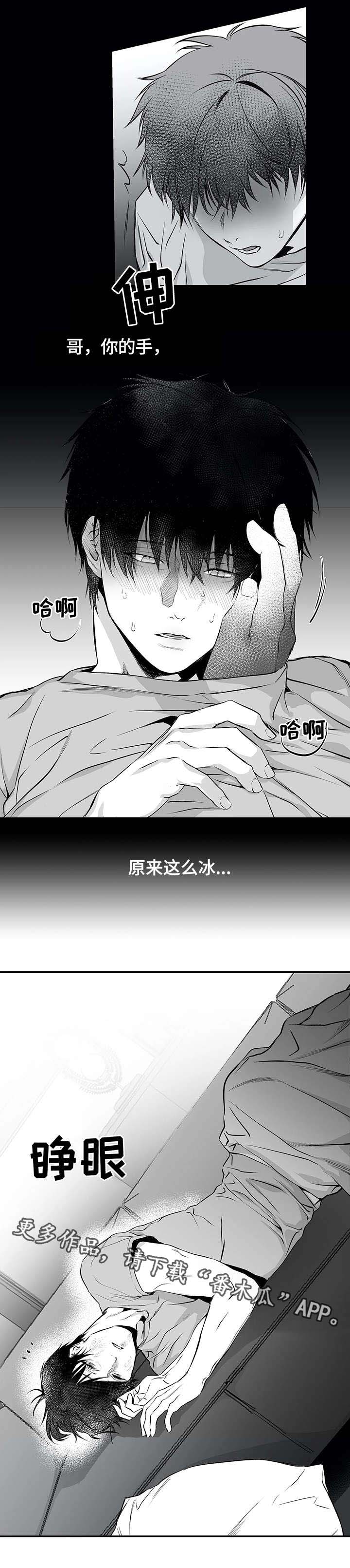 拳击手漫画,第19章：组织1图