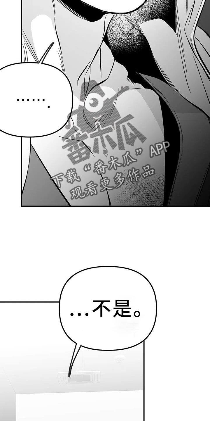 拳击手漫画,第228章：【第三季】感想2图