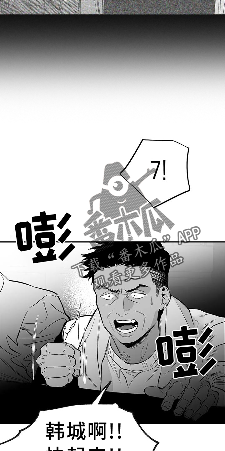 拳击手漫画,第227章：【第三季】站起2图