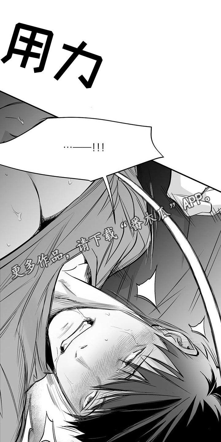 拳击手漫画,第190章：【第三季】开心1图