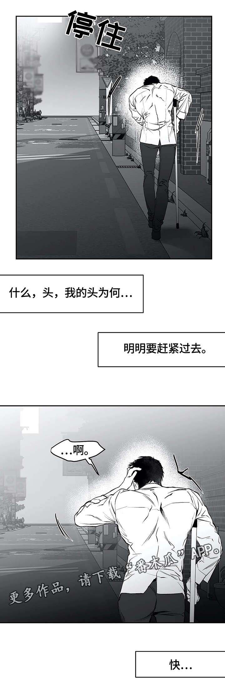 拳击手漫画,第32章：报复1图