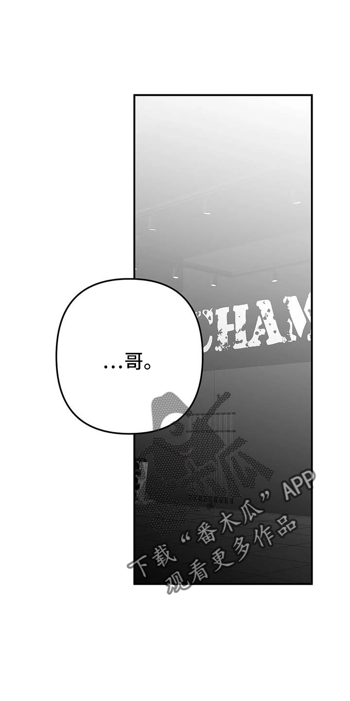 拳击手漫画,第215章：【第三季】不像自己1图