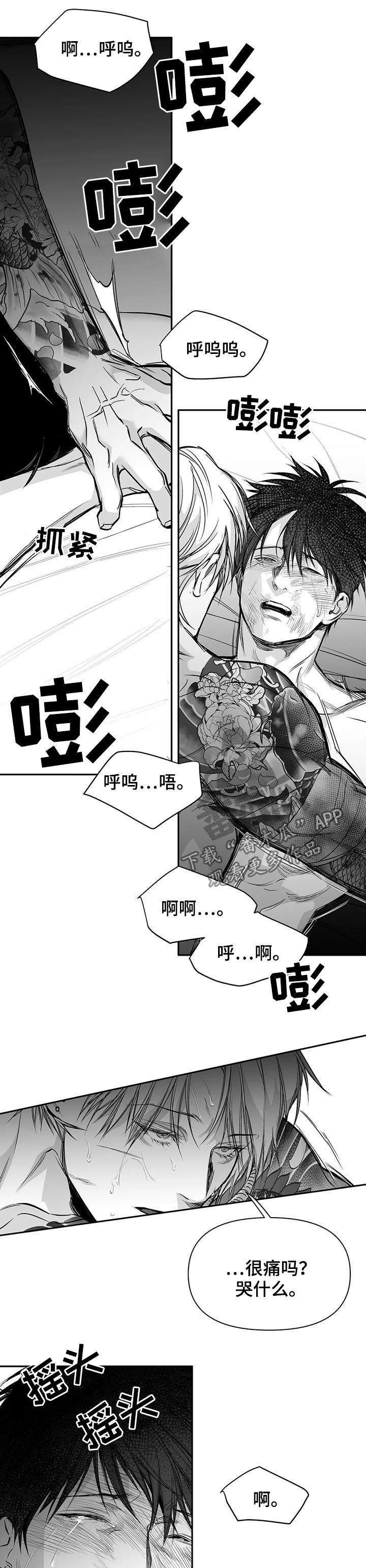 拳击手漫画,第122章：【第二季】一切都会好起来2图