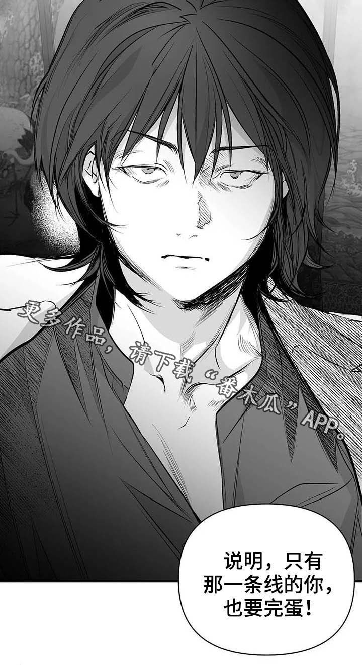拳击手漫画,第146章：【第三季】你也要完蛋2图