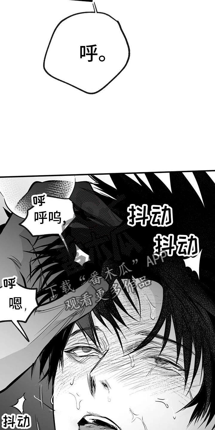 拳击手漫画,第237章：【第三季】闪耀2图