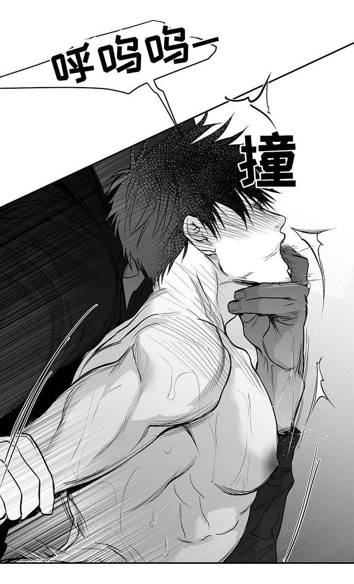 拳击手漫画,第111章：【第二季】很贪心2图