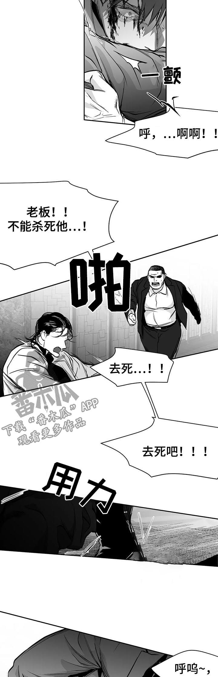 拳击手漫画,第86章：有你的风范2图