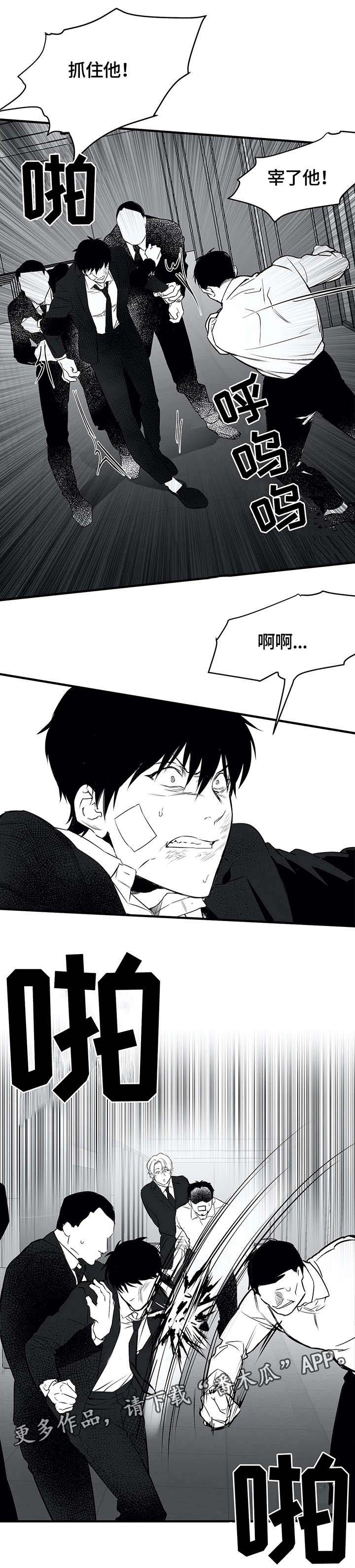 拳击手漫画,第12章：凶狠1图