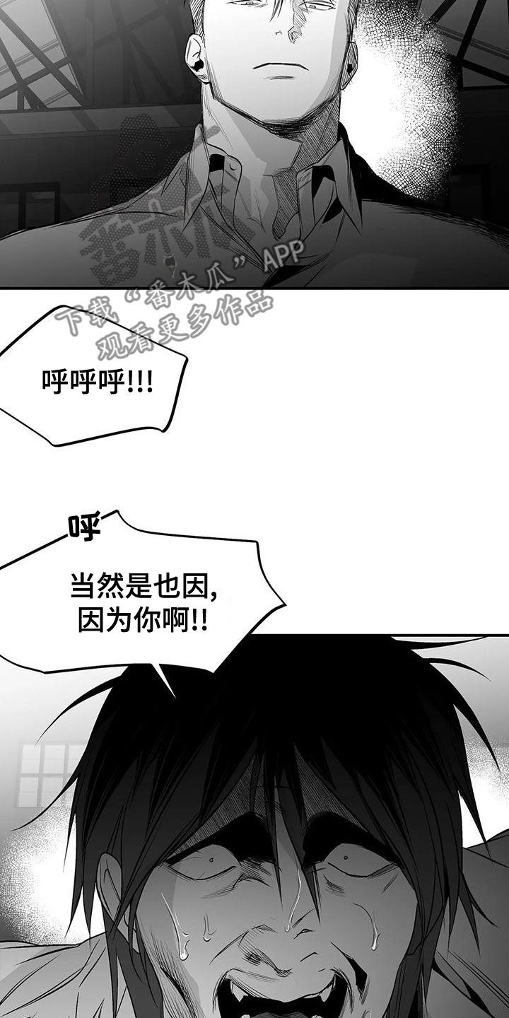 拳击手漫画,第193章：【第三季】都是因为你2图