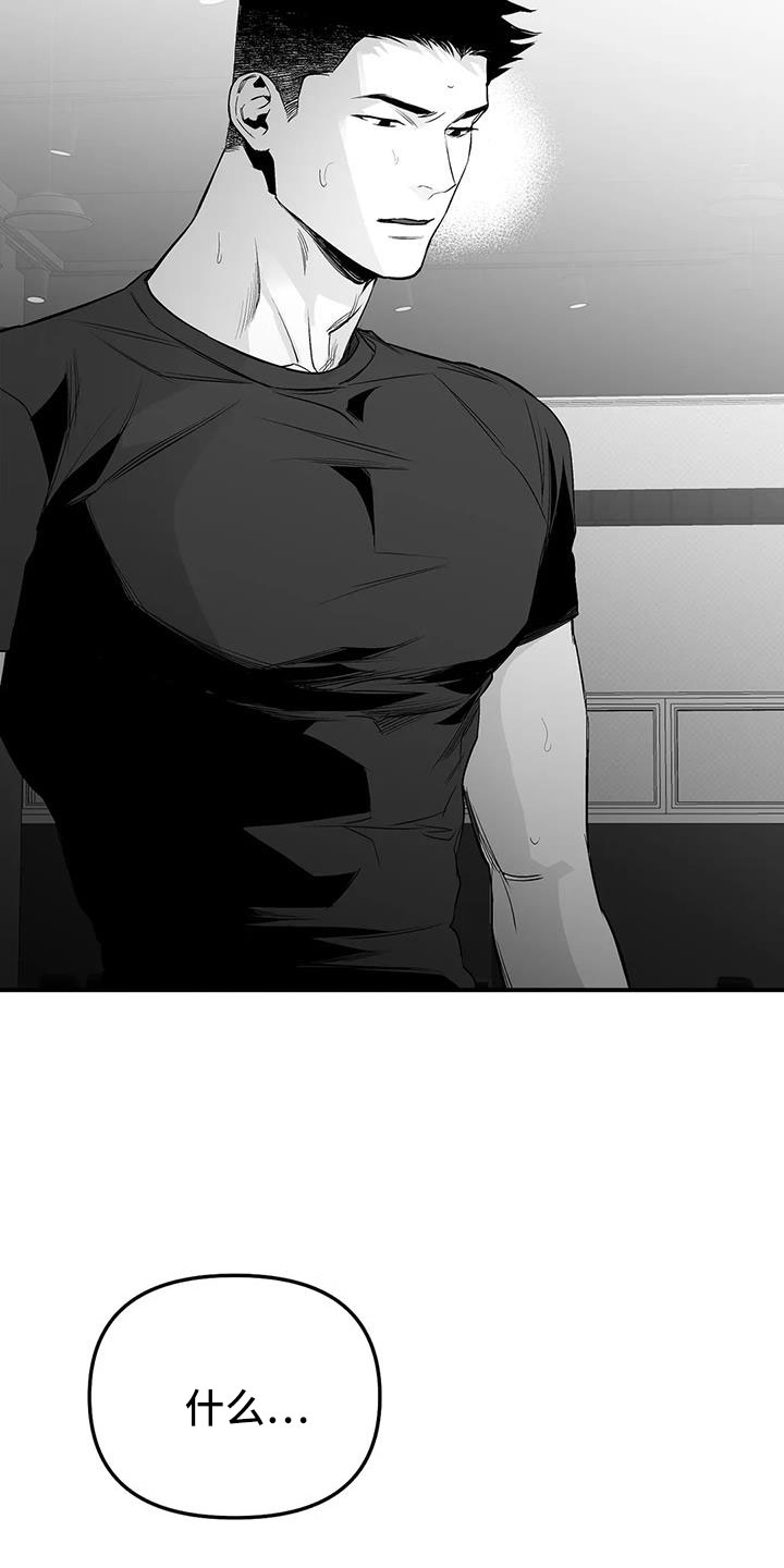 拳击手漫画,第214章：【第三季】那人很危险1图