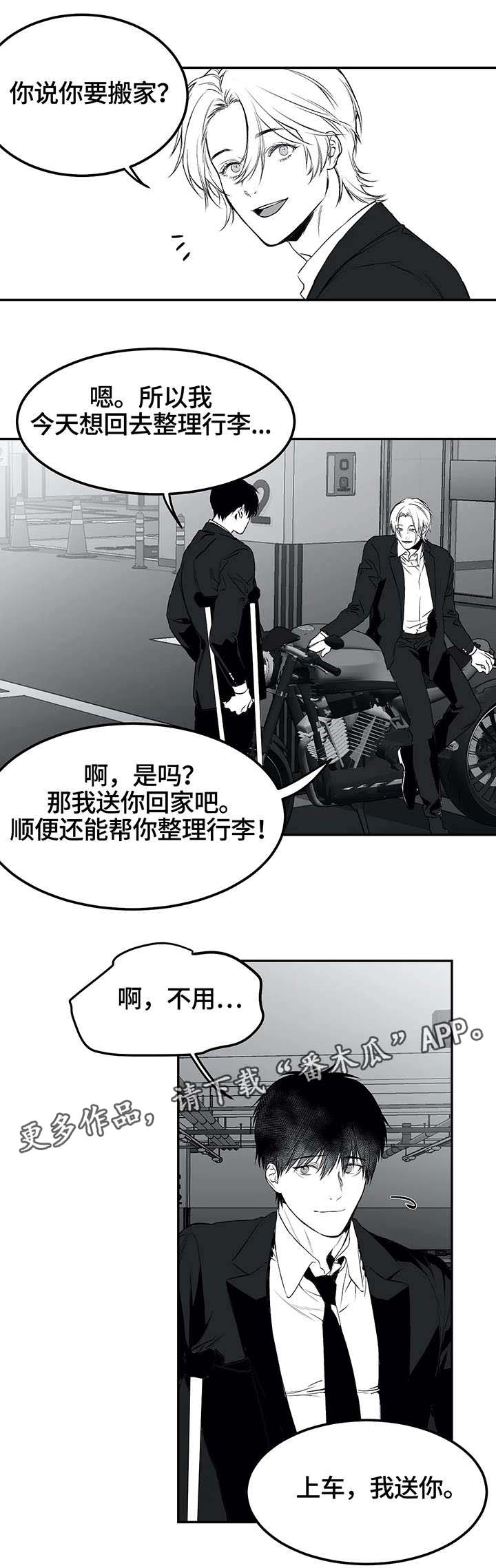 拳击手漫画,第19章：组织2图