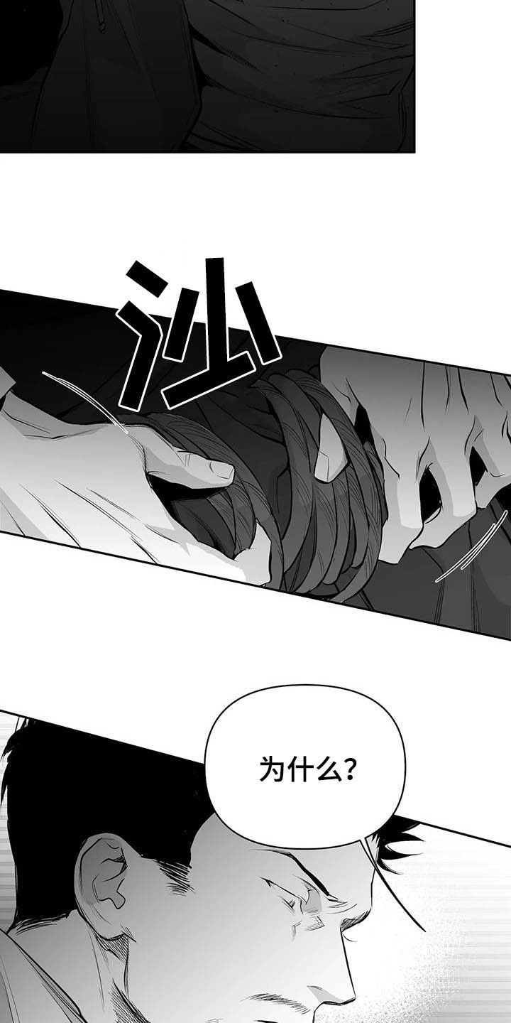 拳击手漫画,第148章：【第三季】我可以救你2图