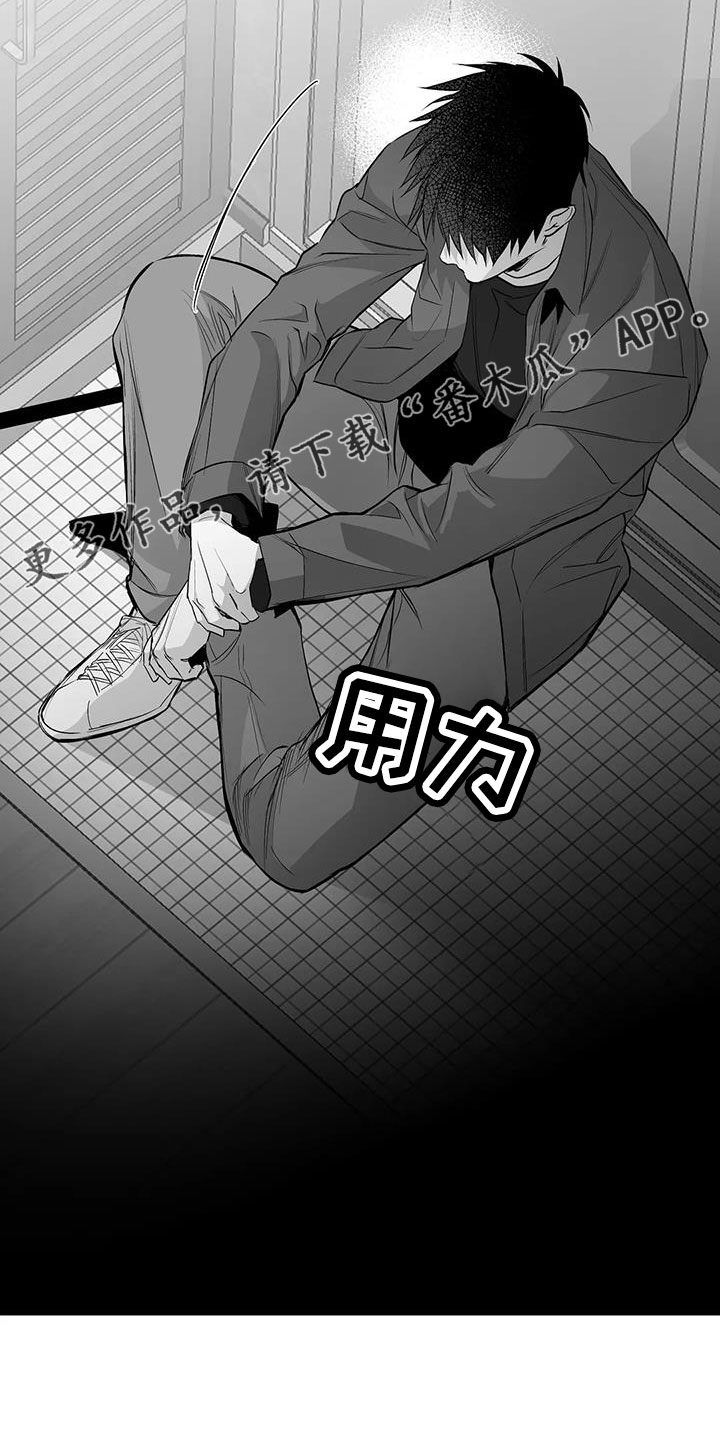 拳击手漫画,第212章：【第三季】条件是什么来着1图