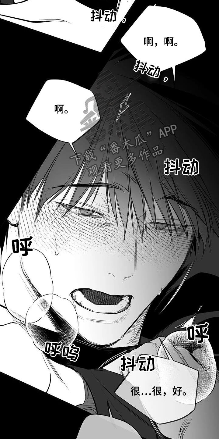 拳击手漫画,第171章：【第三季】期待1图