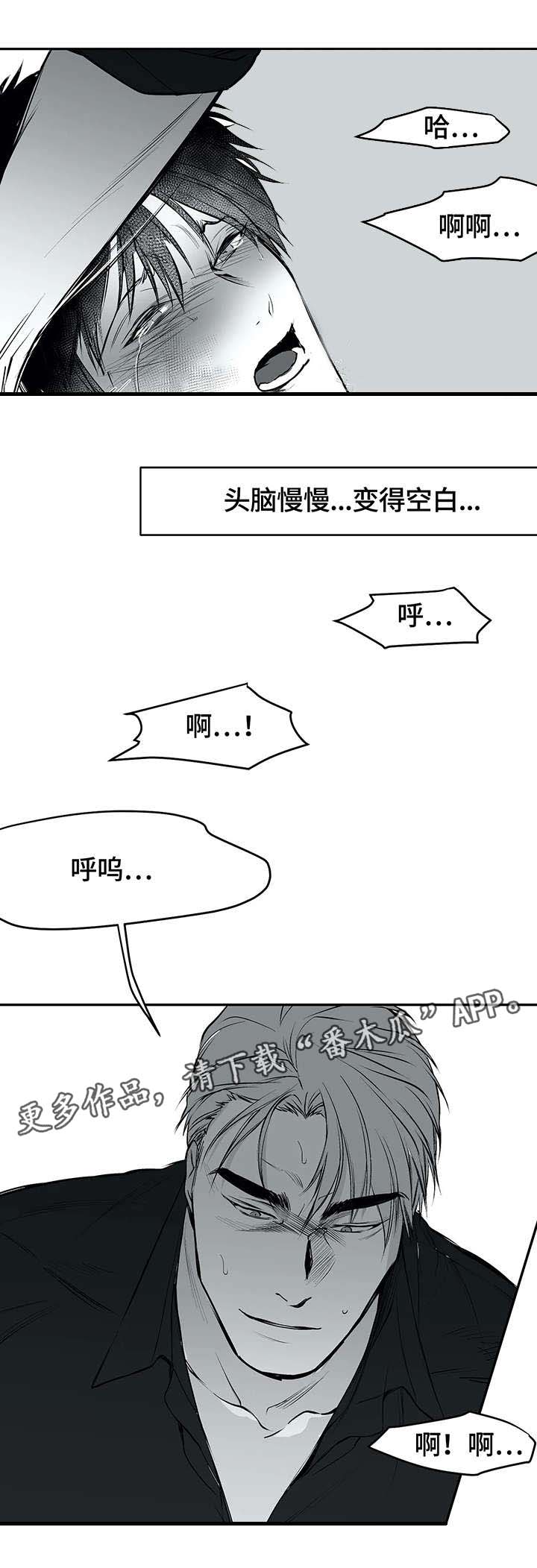 拳击手漫画,第26章：空白1图