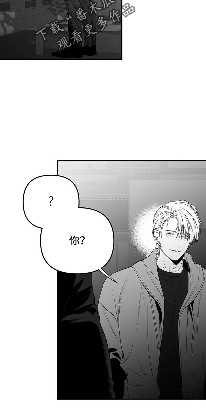 拳击手漫画,第212章：【第三季】条件是什么来着1图