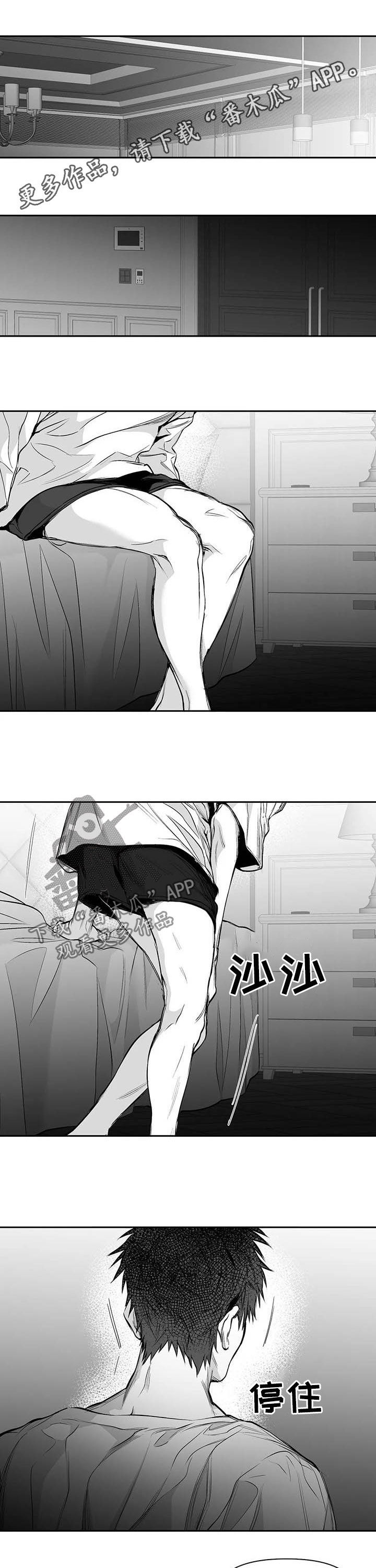 拳击手漫画,第139章：【第二季】你是我的1图