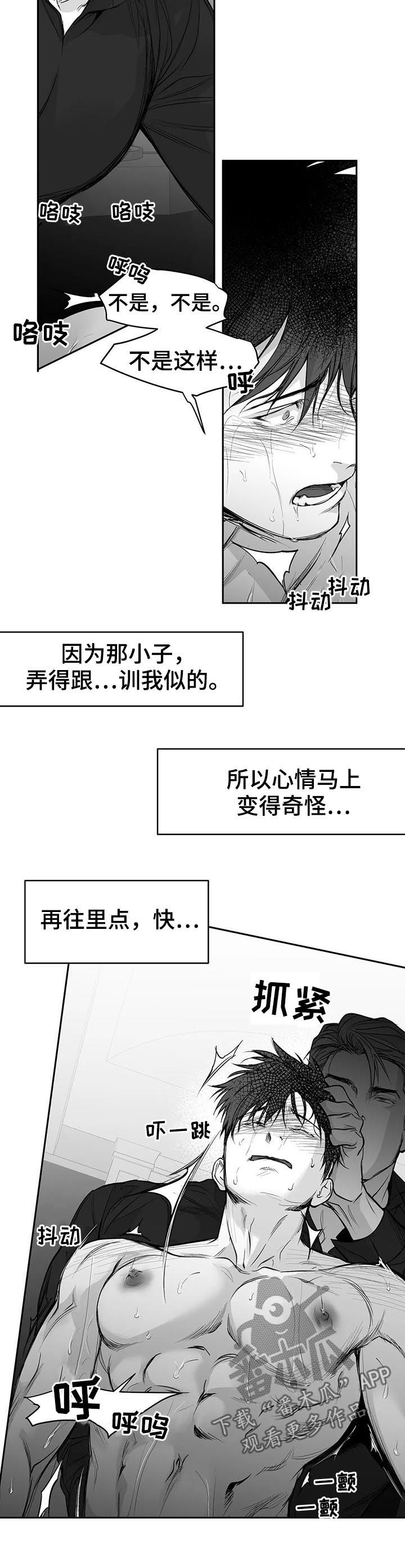 拳击手漫画,第111章：【第二季】很贪心2图