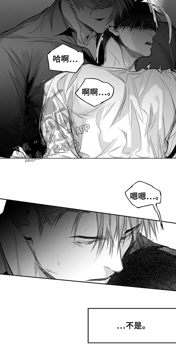 拳击手漫画,第139章：【第二季】你是我的2图
